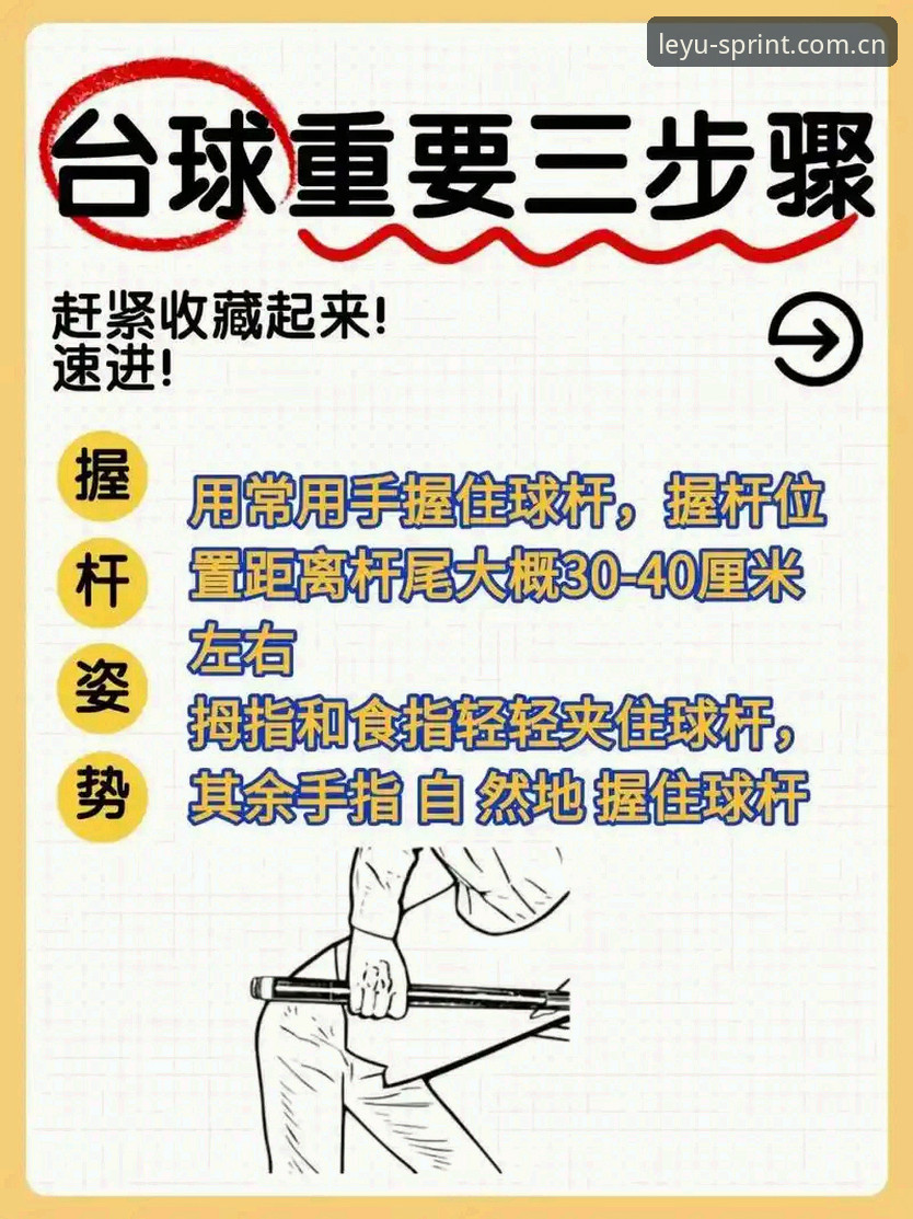 乐鱼体育最新版使用指南：从入门到精通的完整操作教程